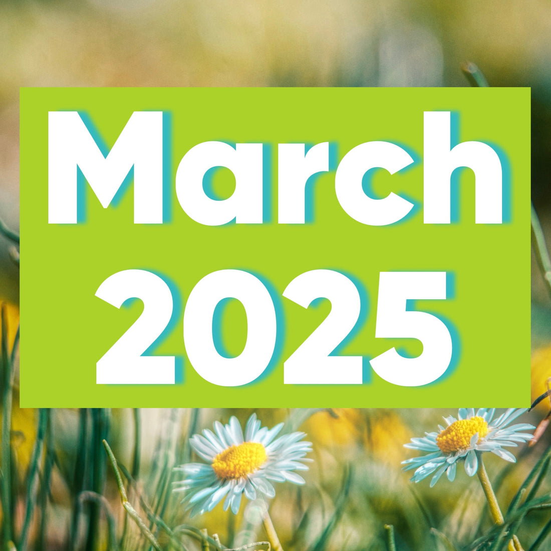 March 2025
