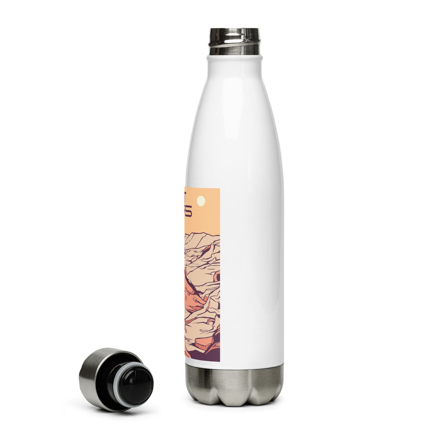 Stainless Steel Water Bottle - 1111 Beginnings 